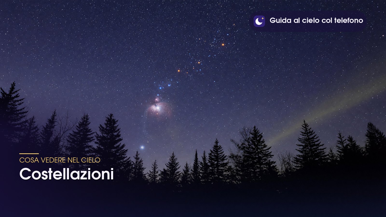 Costellazioni in un cielo invernale stellato sopra una fila di abeti